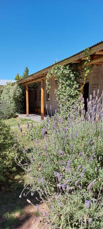 Tikaykilla Lodge & Wines Maipú Extérieur photo
