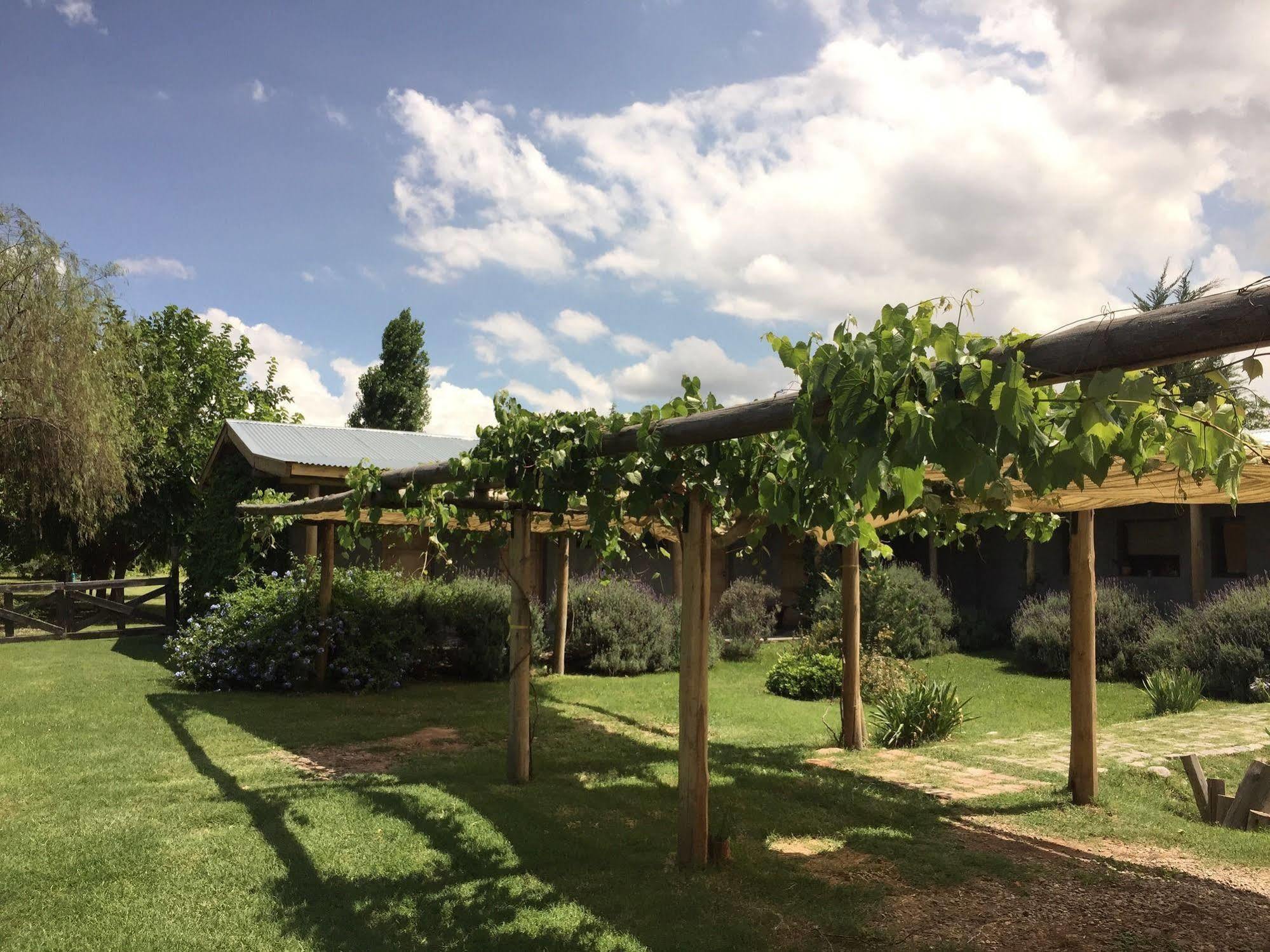 Tikaykilla Lodge & Wines Maipú Extérieur photo